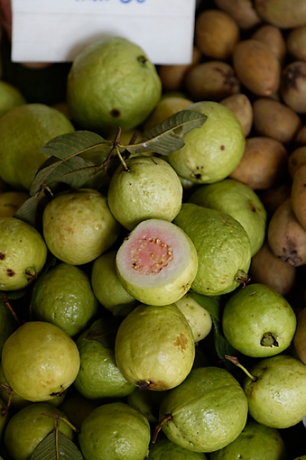 Talin chan-NOV13-064